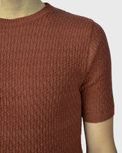 Load image into Gallery viewer, VINCENT & FRANKS S24VF2-SC NUTMEG SS ZIG-ZAG KNITTED CREW